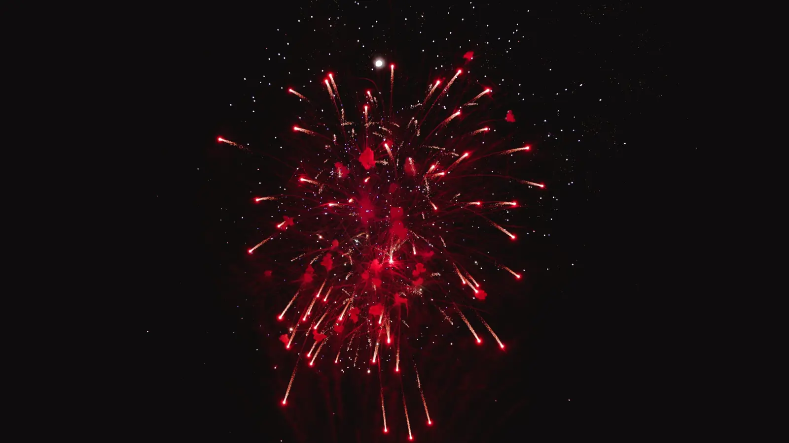 Airwize fireworks over Melbourne