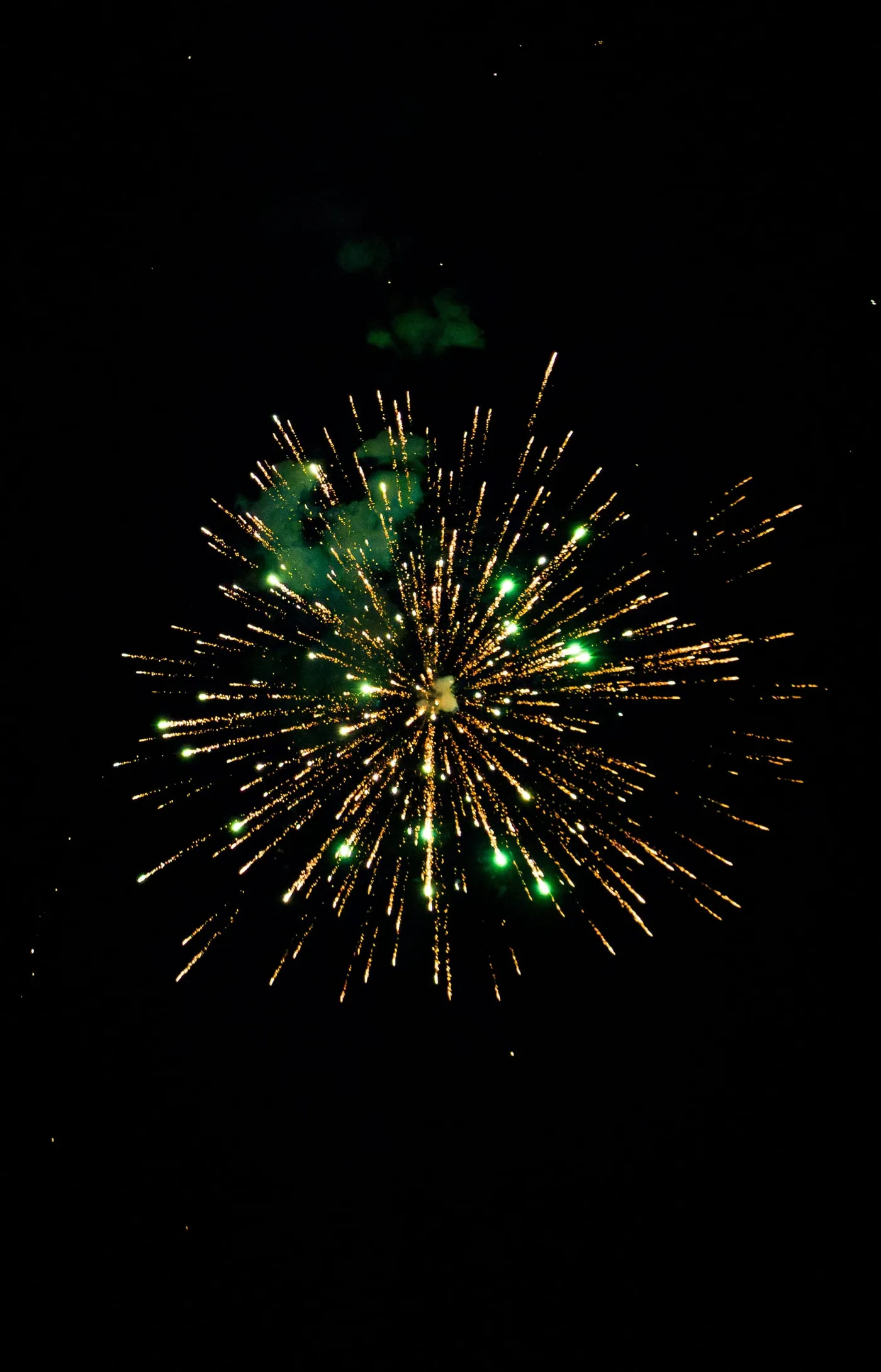 A gold and green starburst opening in the night sky