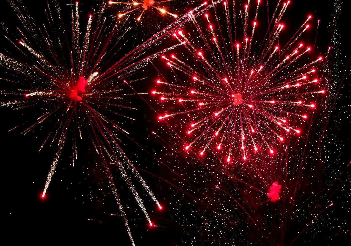 Red fireworks bursting in a night sky
