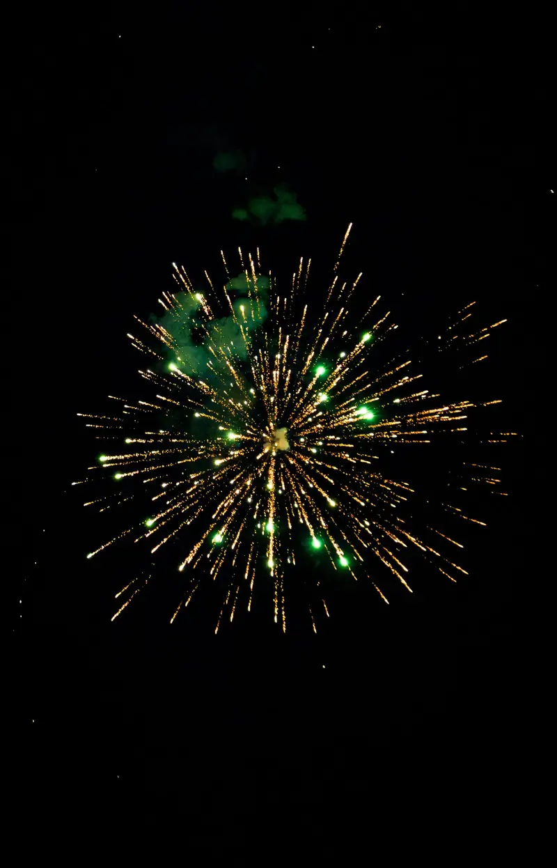 A green and gold firework against a black sky